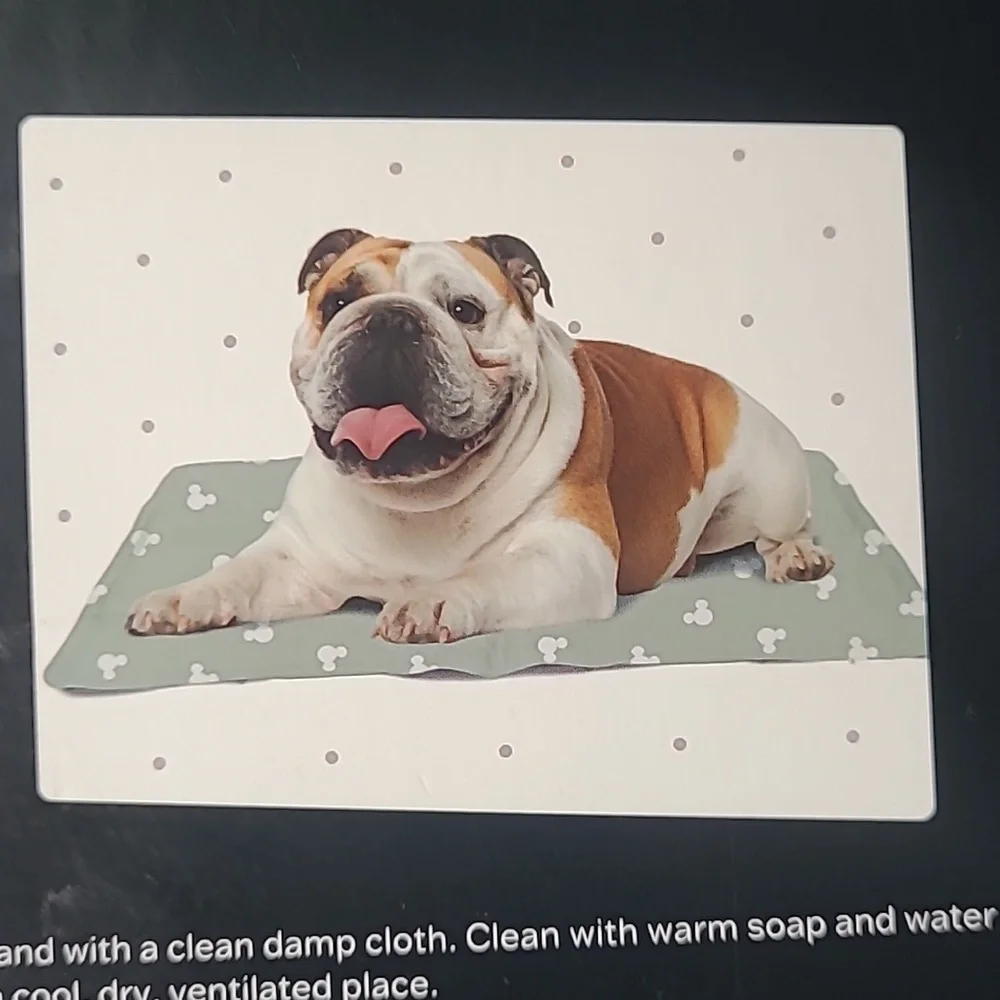 Disney Mickey Mouse Chillz Pet Mat